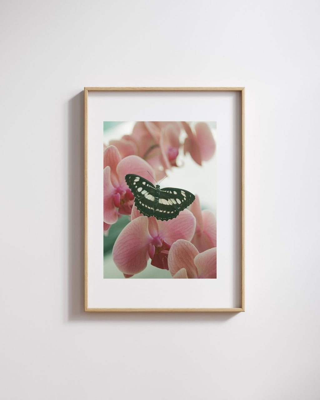 ORCHID AND BUTTERFLY